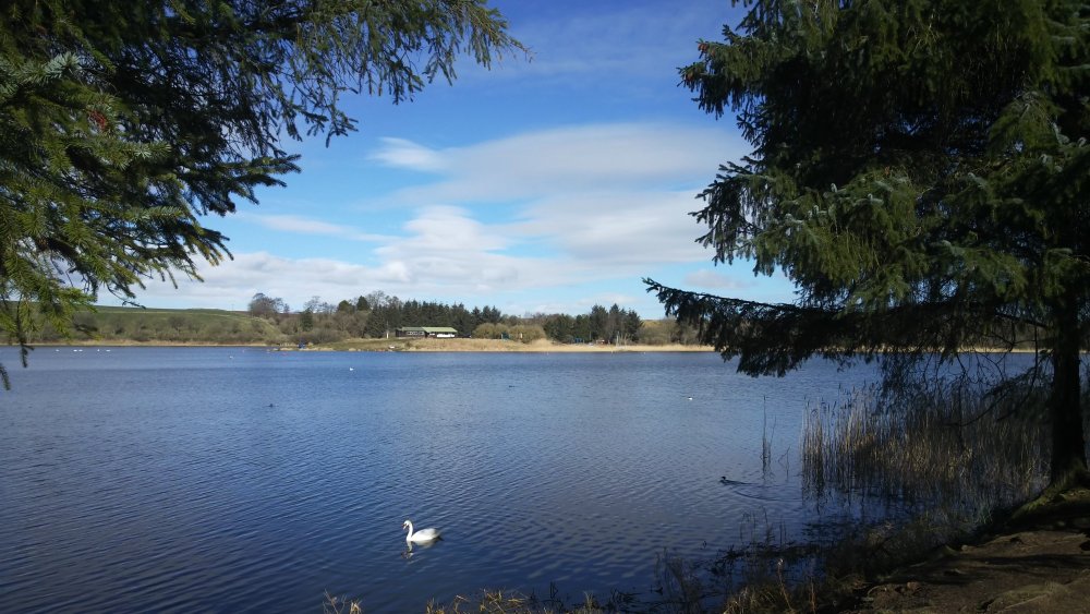 DSCN2707.JPG