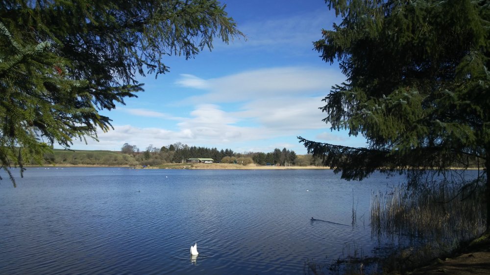 DSCN2708.JPG
