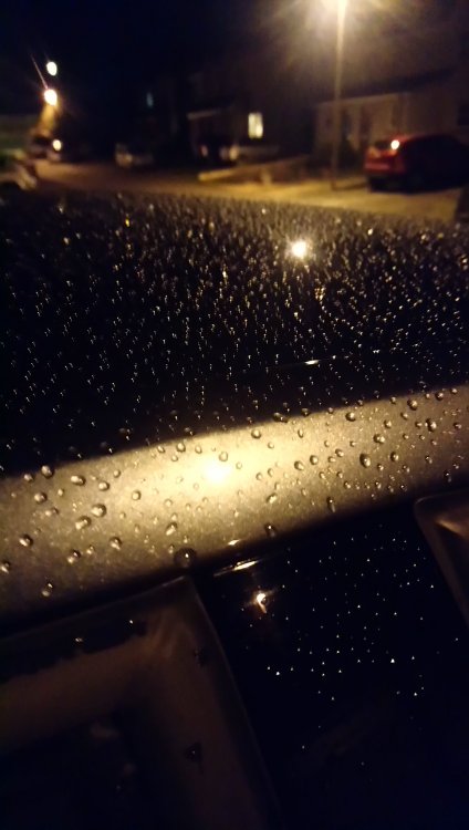 DSC_0878.JPG