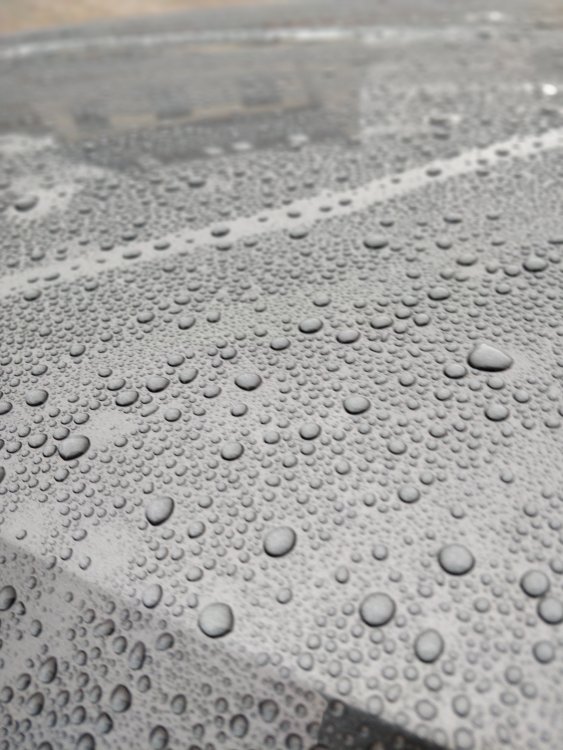 IMG_20190315_072647_Bokeh.jpg