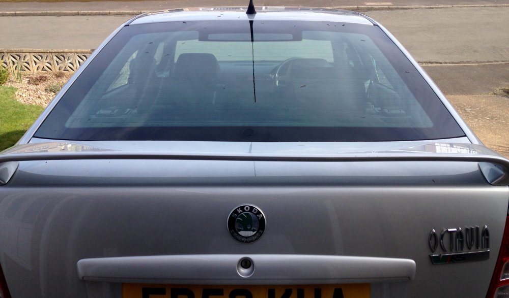 IMG_7924.JPG