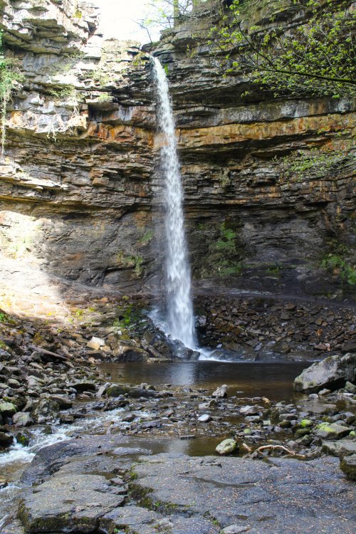 2019-04-28_08-43-07.jpg