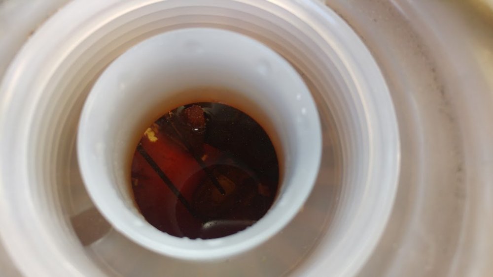 20190410_131923.jpg