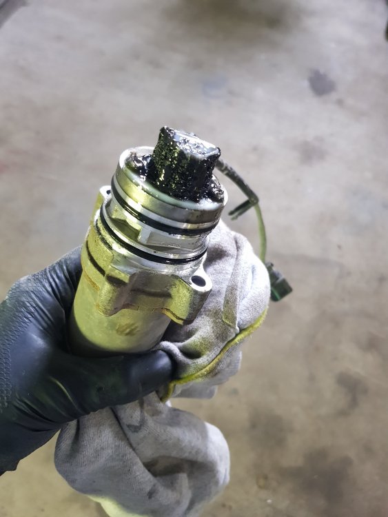 20190418_105710.jpg