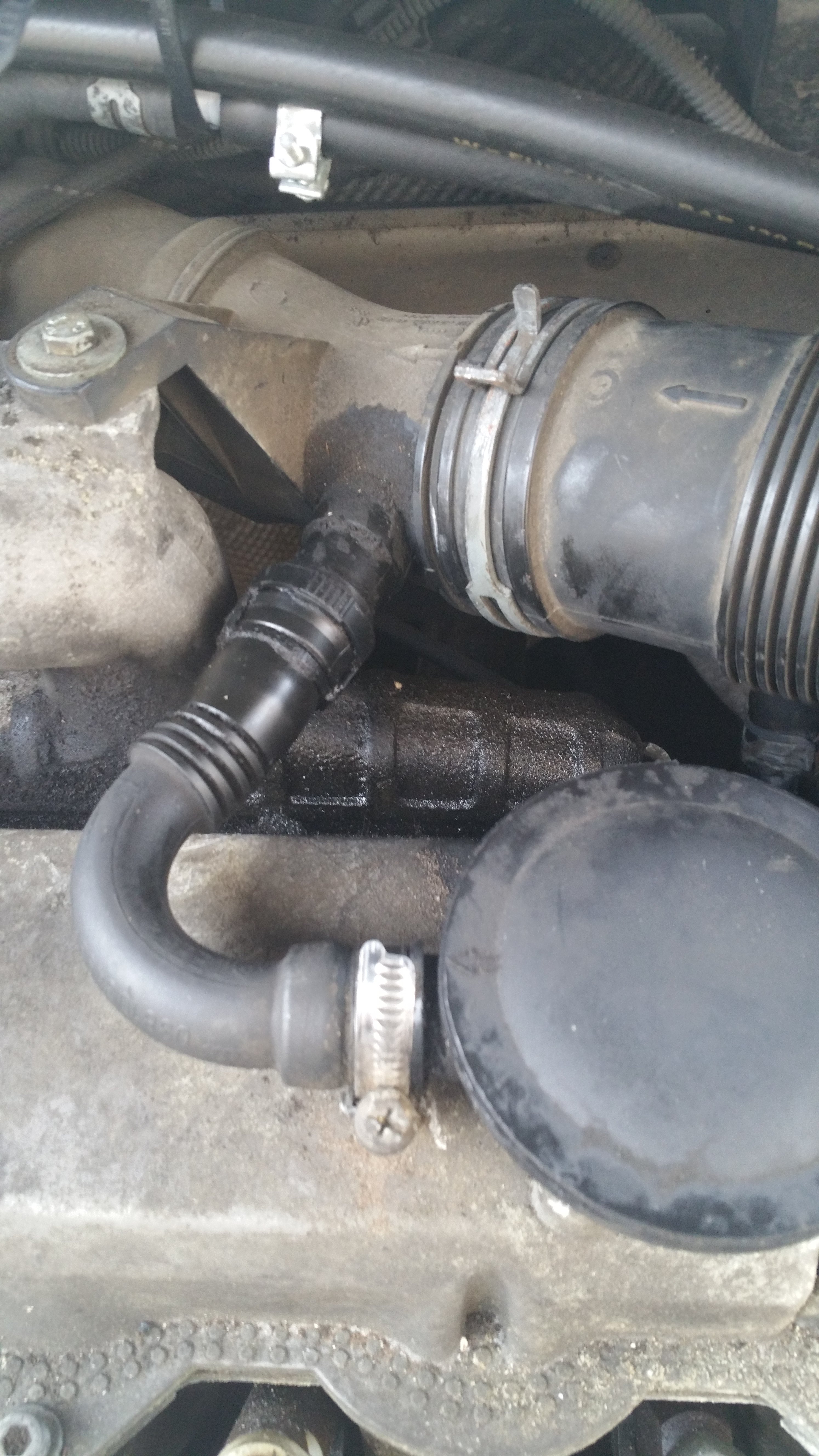 Octi Mk 1 oil breather leaking