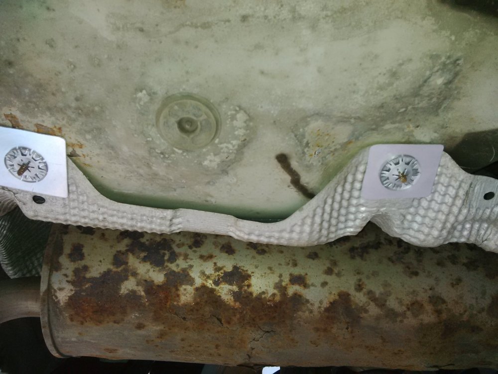 Heat sheild  showing 2 fixings.jpg