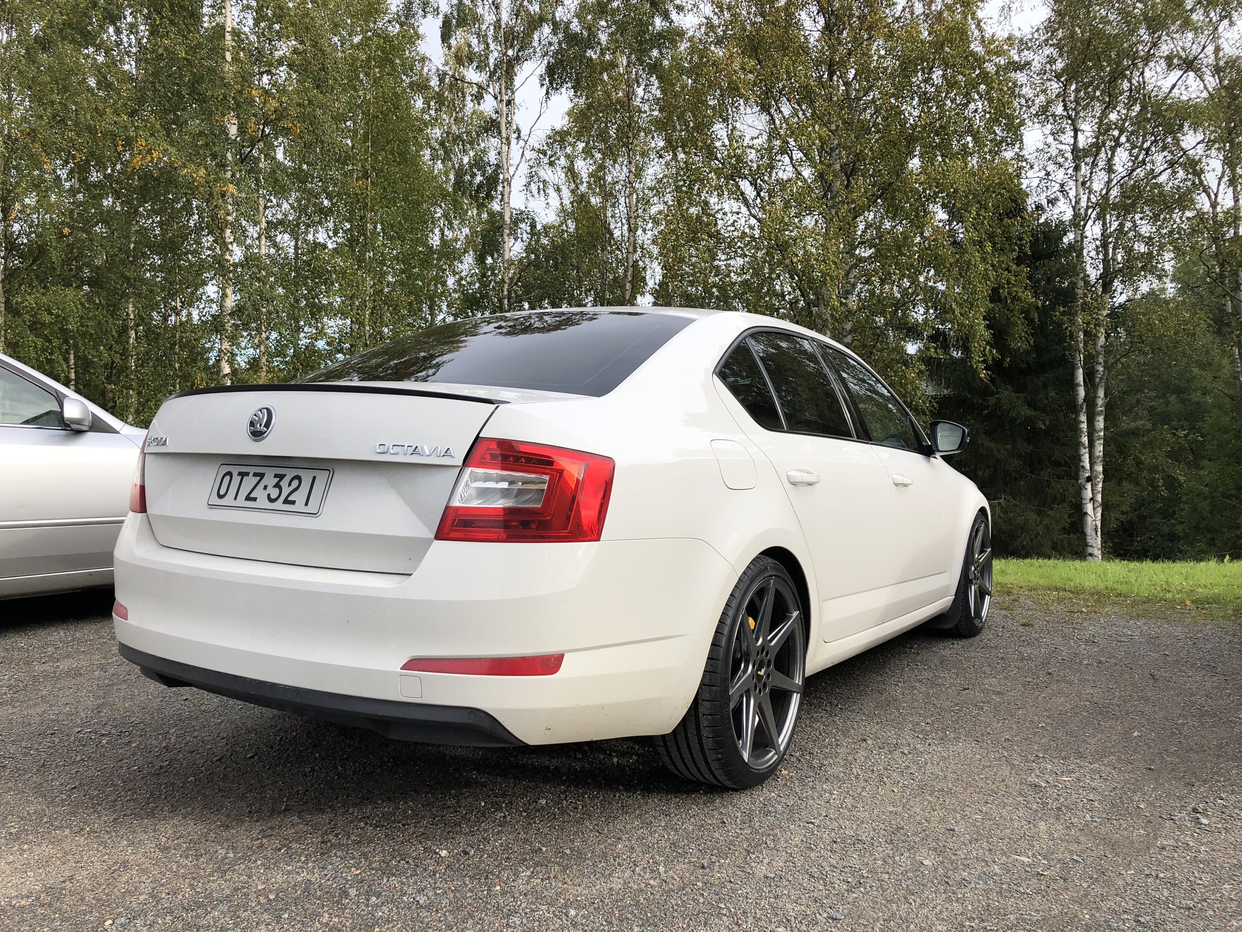 Skoda octavia r19