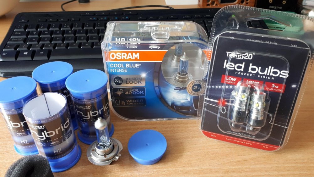 new bulbs.jpg
