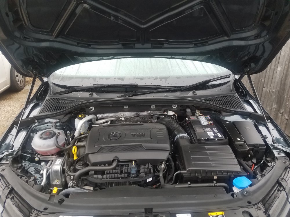 20190503_075102.jpg
