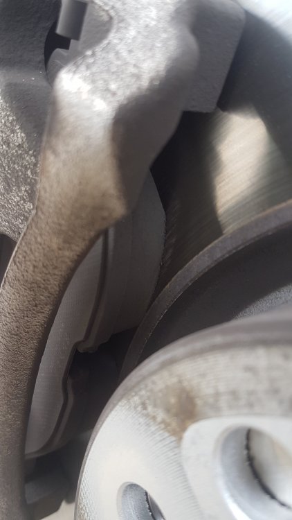 20190503_124528.jpg