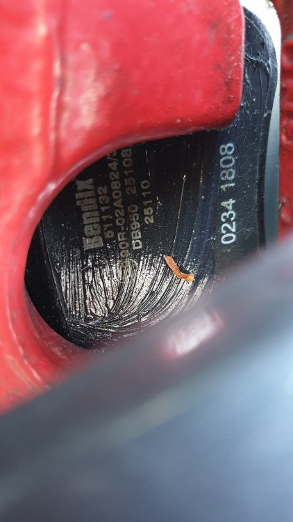 20190514_184626.jpg