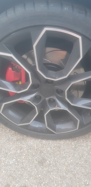 20190515_053419.jpg