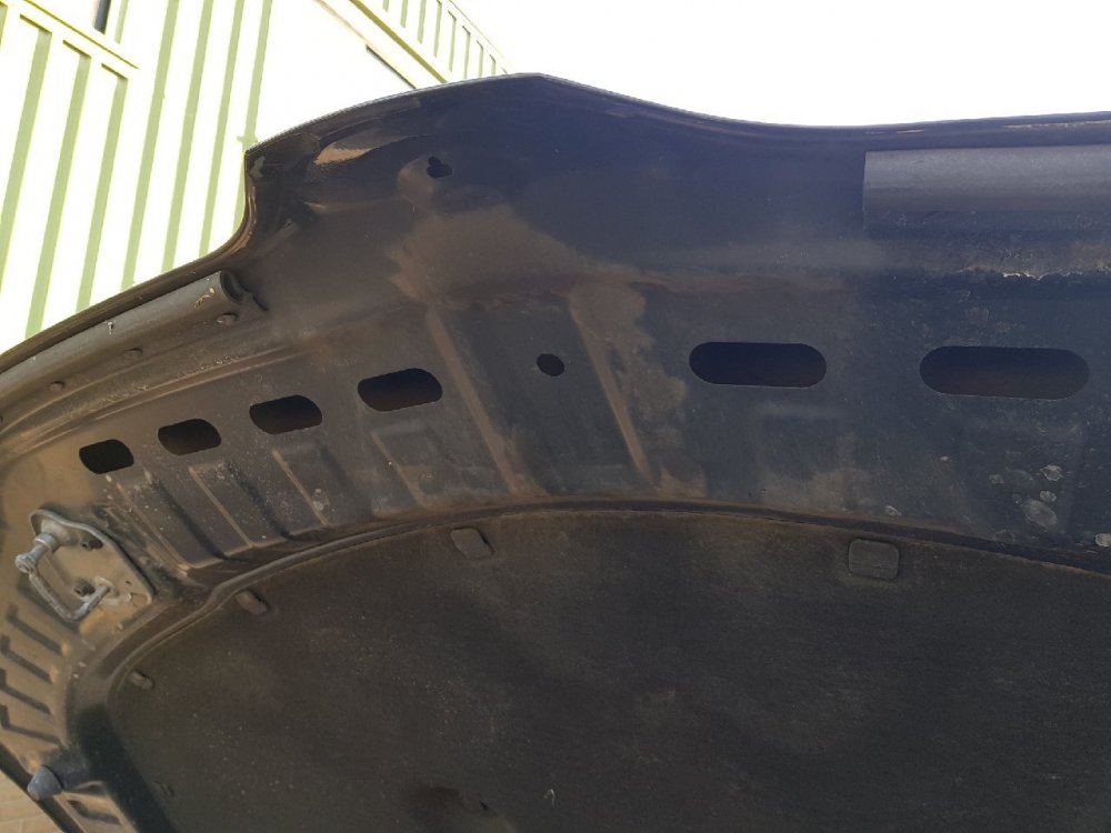 20190515_071559.jpg
