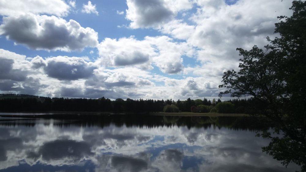DSCN3399.JPG