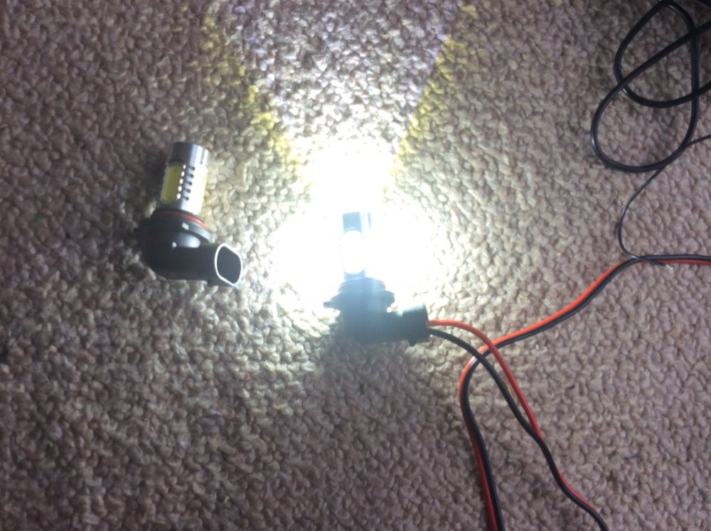 IMG_0971.JPG