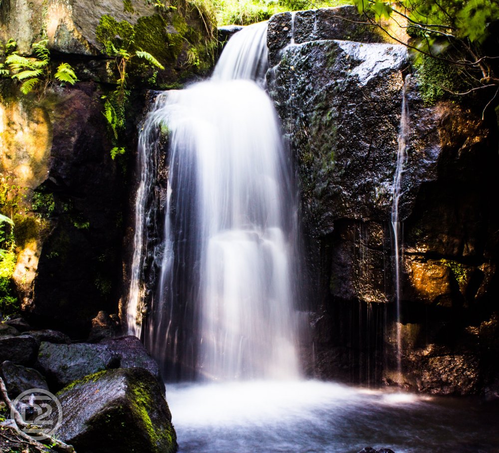 IMG_5252-HDR.jpg