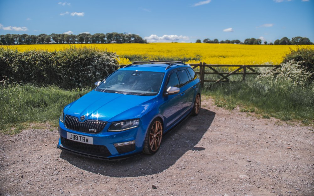 SunnySkoda-3.jpg