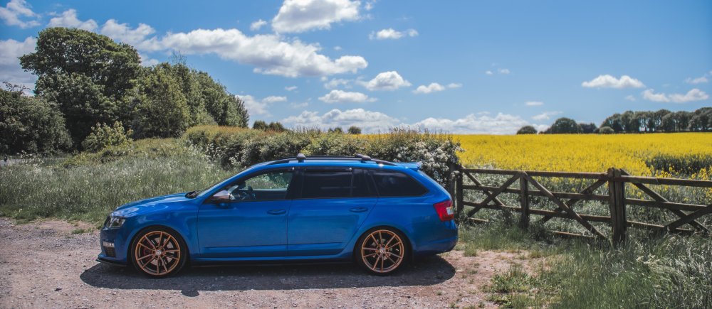 SunnySkoda-7.jpg