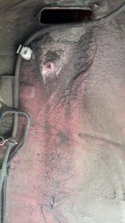 Drain hole from outside.jpg