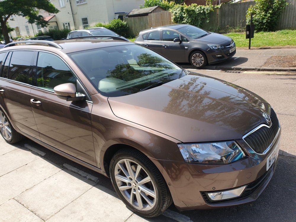 20190629_103905[1].jpg