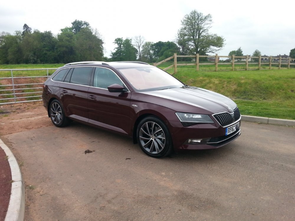 217100338_superb2016.thumb.jpg.0a7bc82fa72594adfddccb79cb7767e6.jpg
