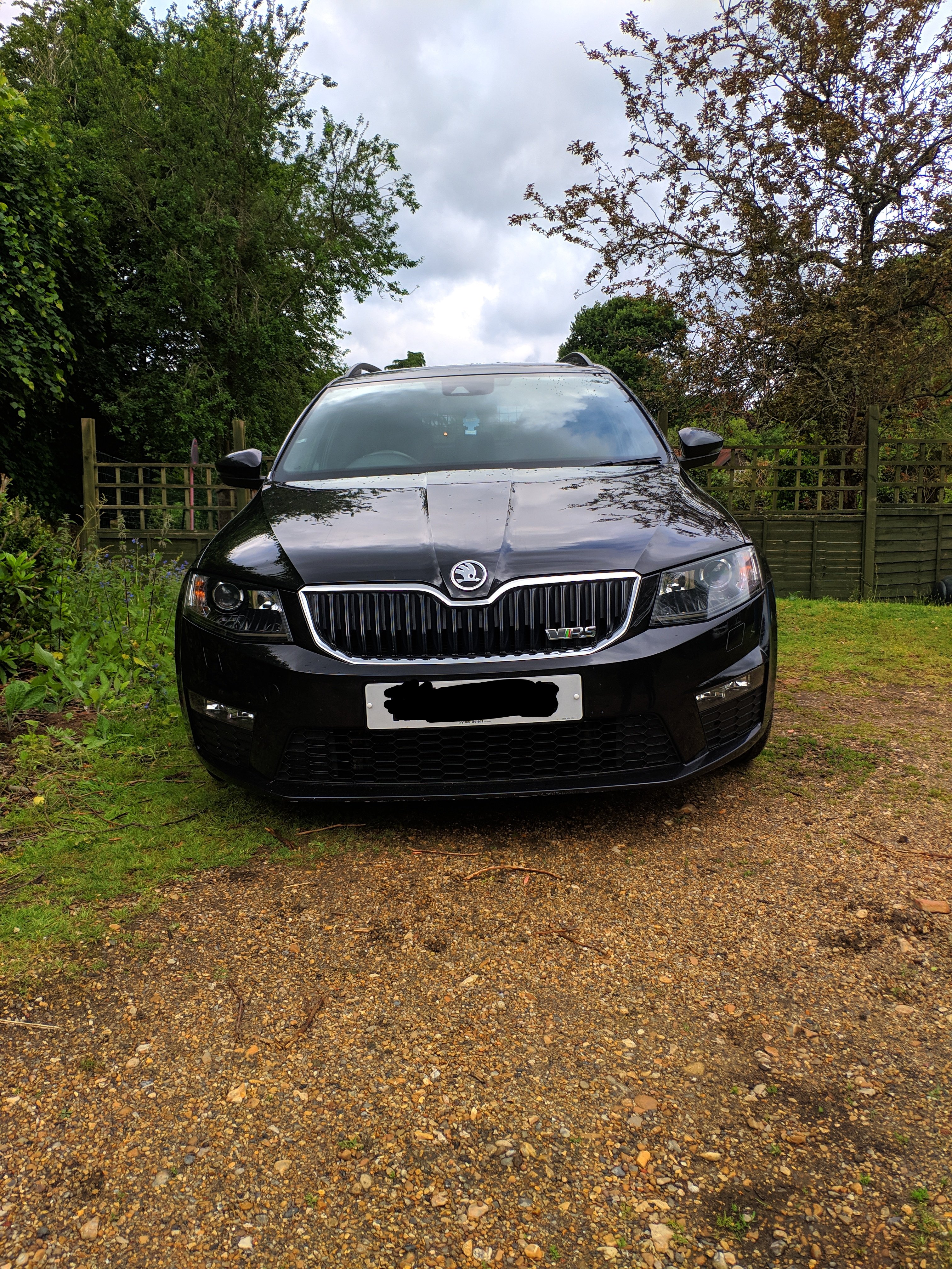 Skoda surround что это