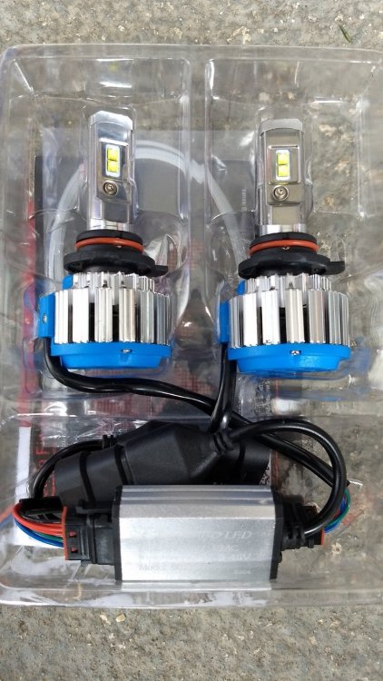 bulbs.jpg