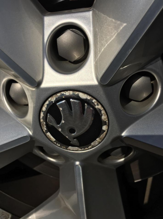 image.thumb.png.8d5918658f0f5276d6beb003027f52f7.png