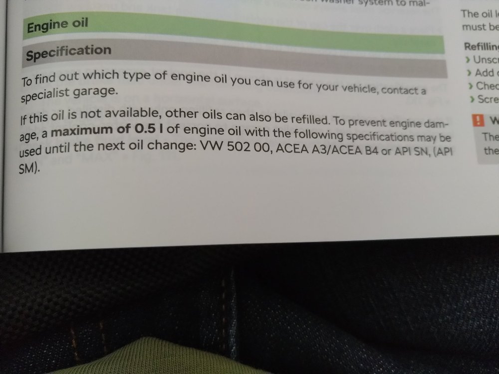 oil.thumb.jpg.d8229aa77247704b725c8a54ca8341f3.jpg