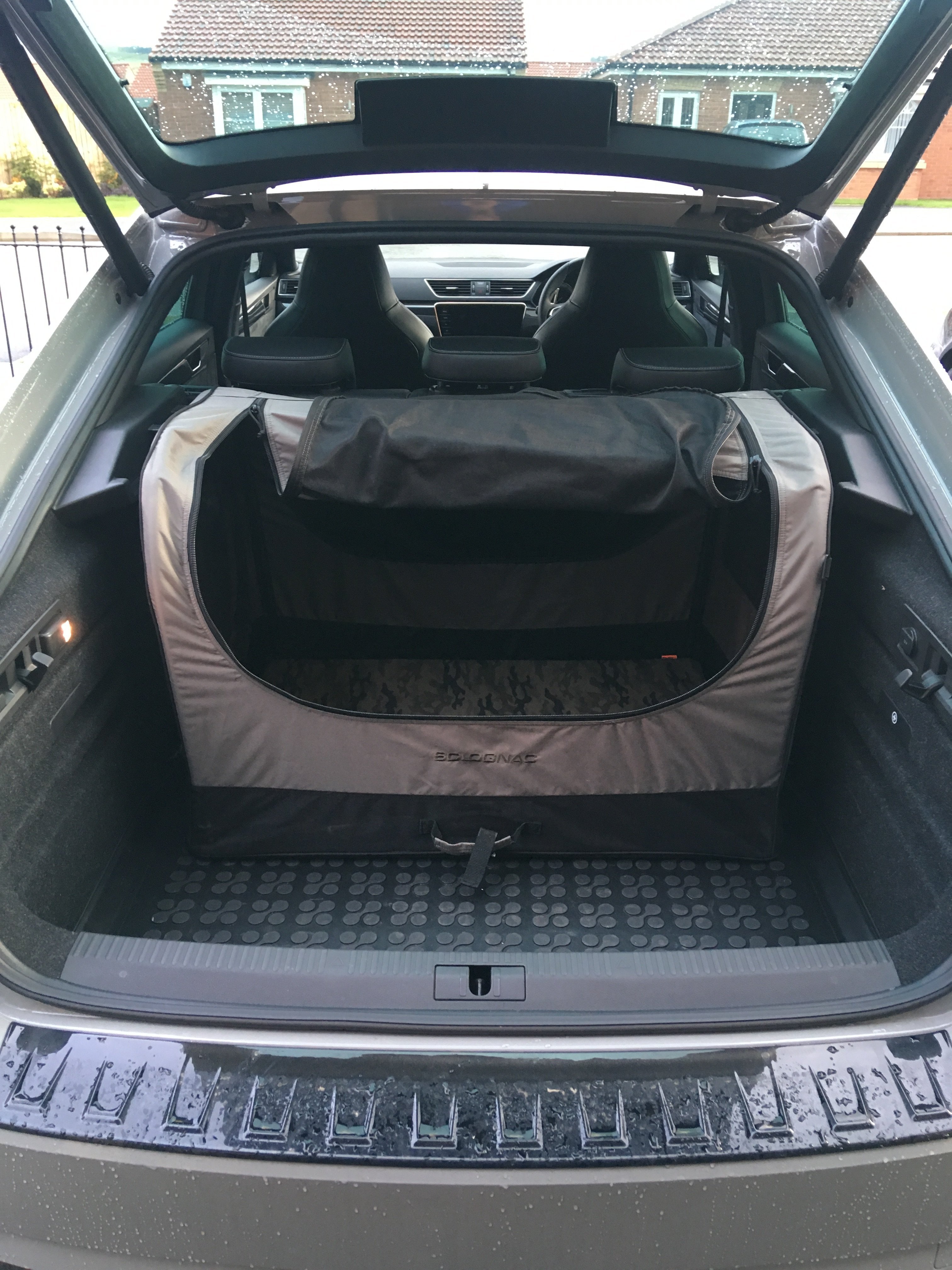 Hatchback and large dog Skoda Superb Mk III (2015 2023) BRISKODA