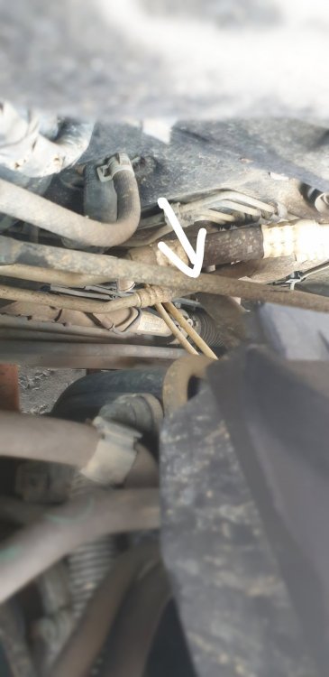20190417_152923.jpg