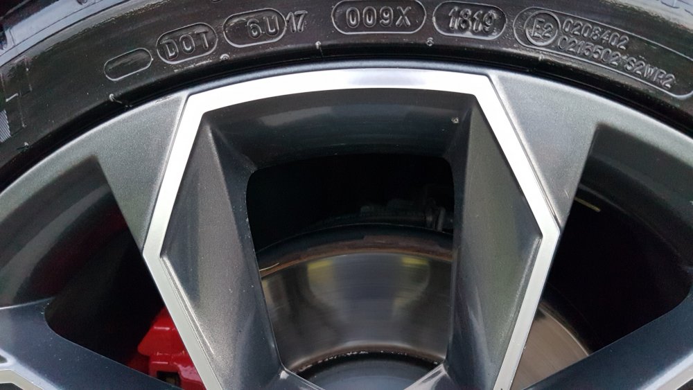 20190703_214036.thumb.jpg.669cc6a77b8205e3d2f2a375953353b4.jpg