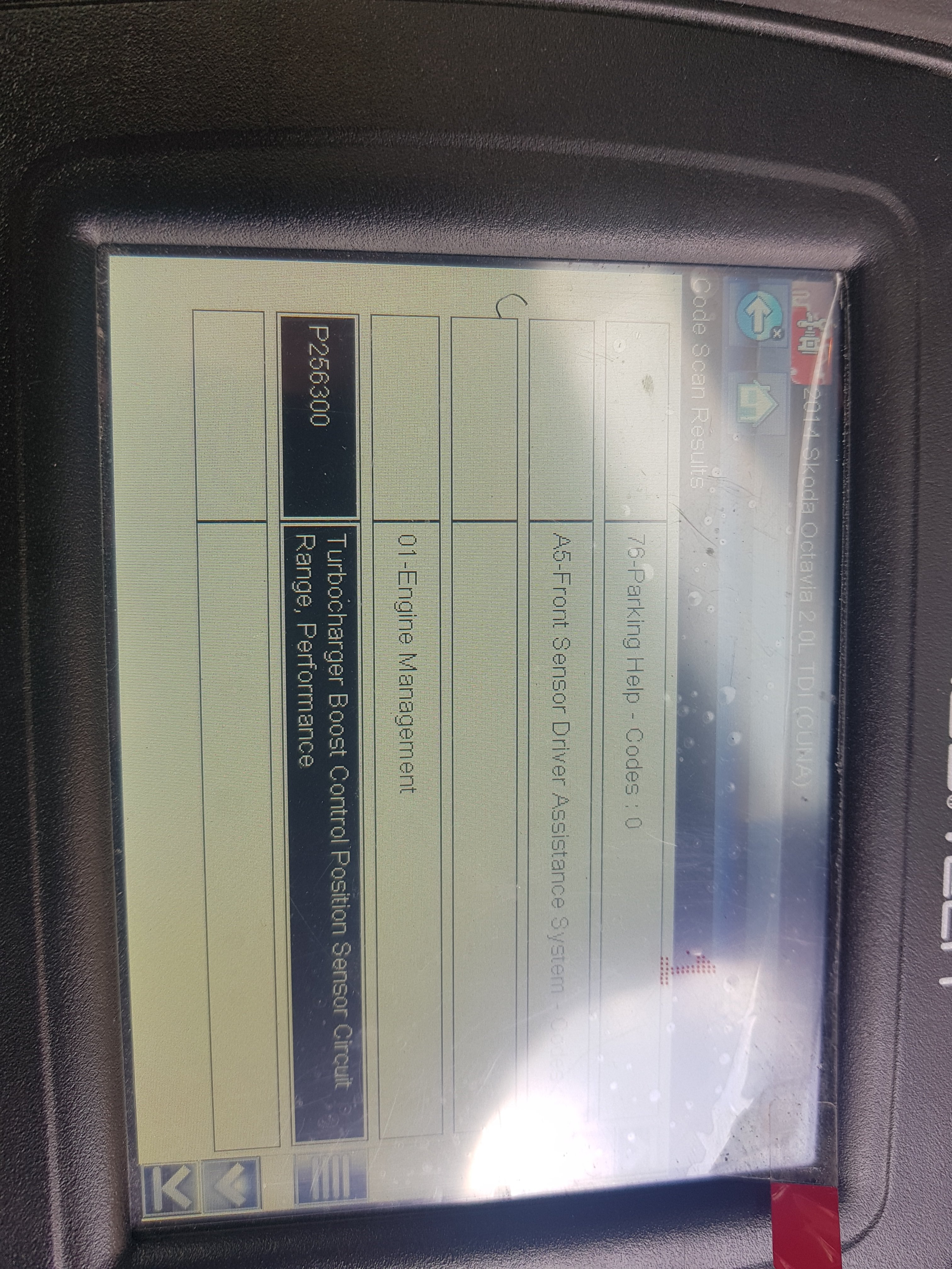 Skoda Octavia Mk3 vrs tdi fault code P256300