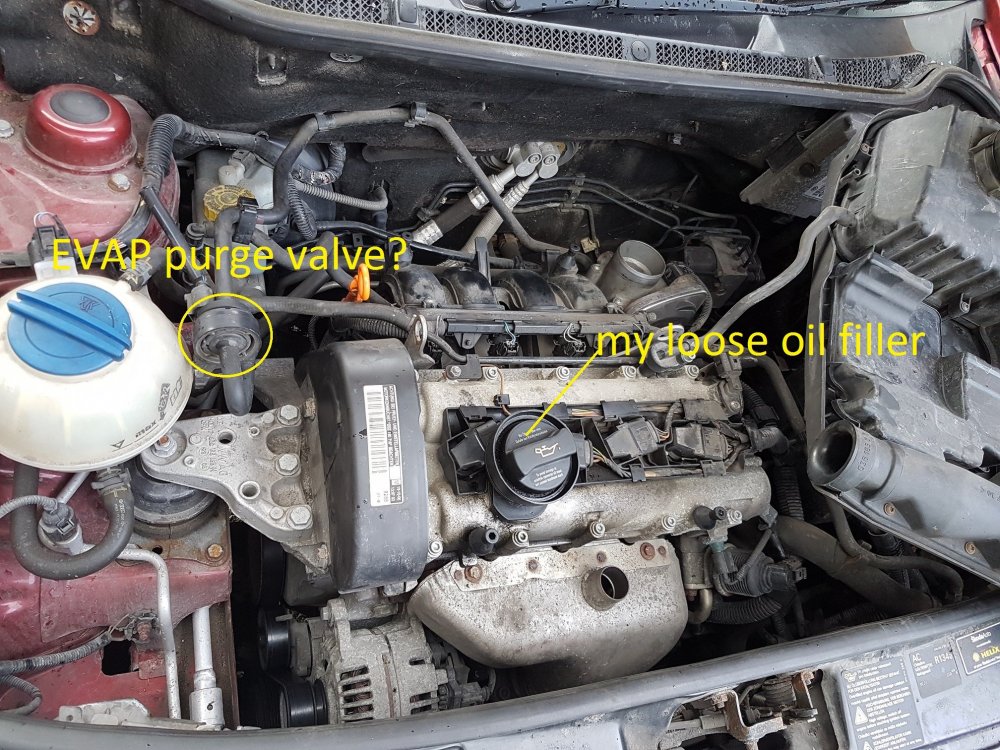 20190713_182108.thumb.jpg.5e53c51e1f2889