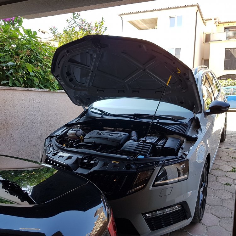 20190724_154414.jpg