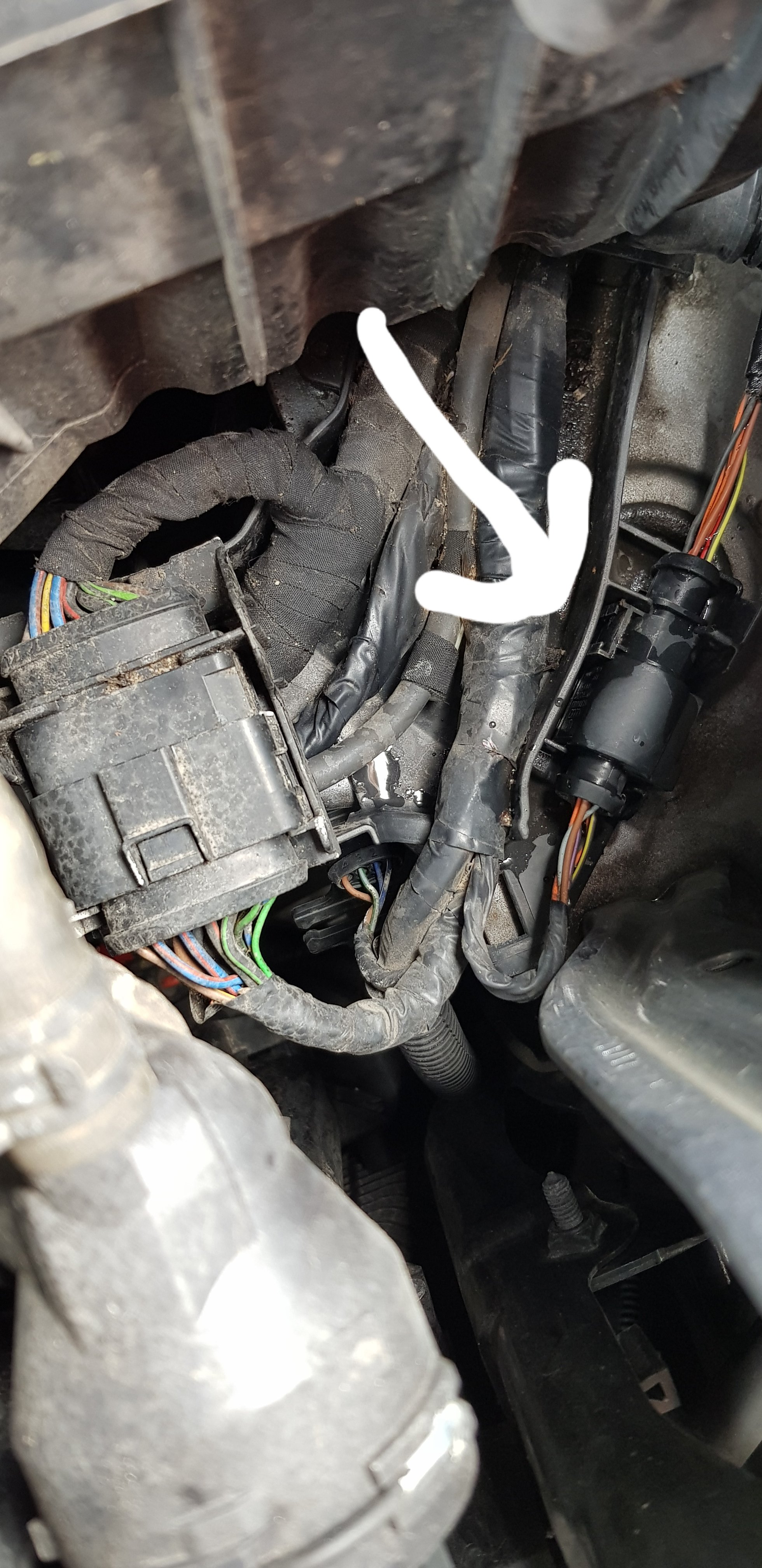 Oil sensor Workshop Octavia VRS TDI 2012 Skoda Octavia Mk II