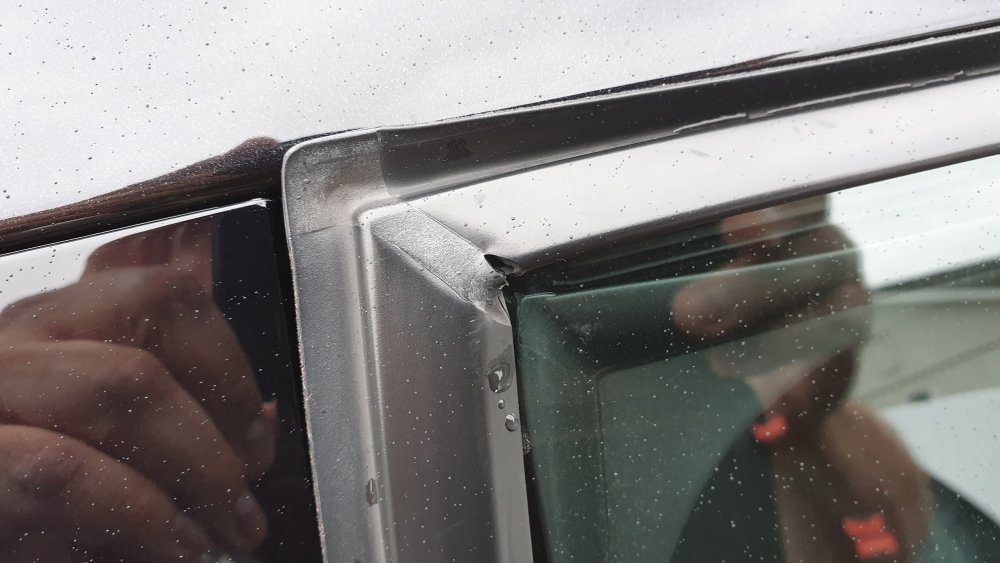 20190730_162546.thumb.jpg.8181a03b71528c94be989516e48b547c.jpg