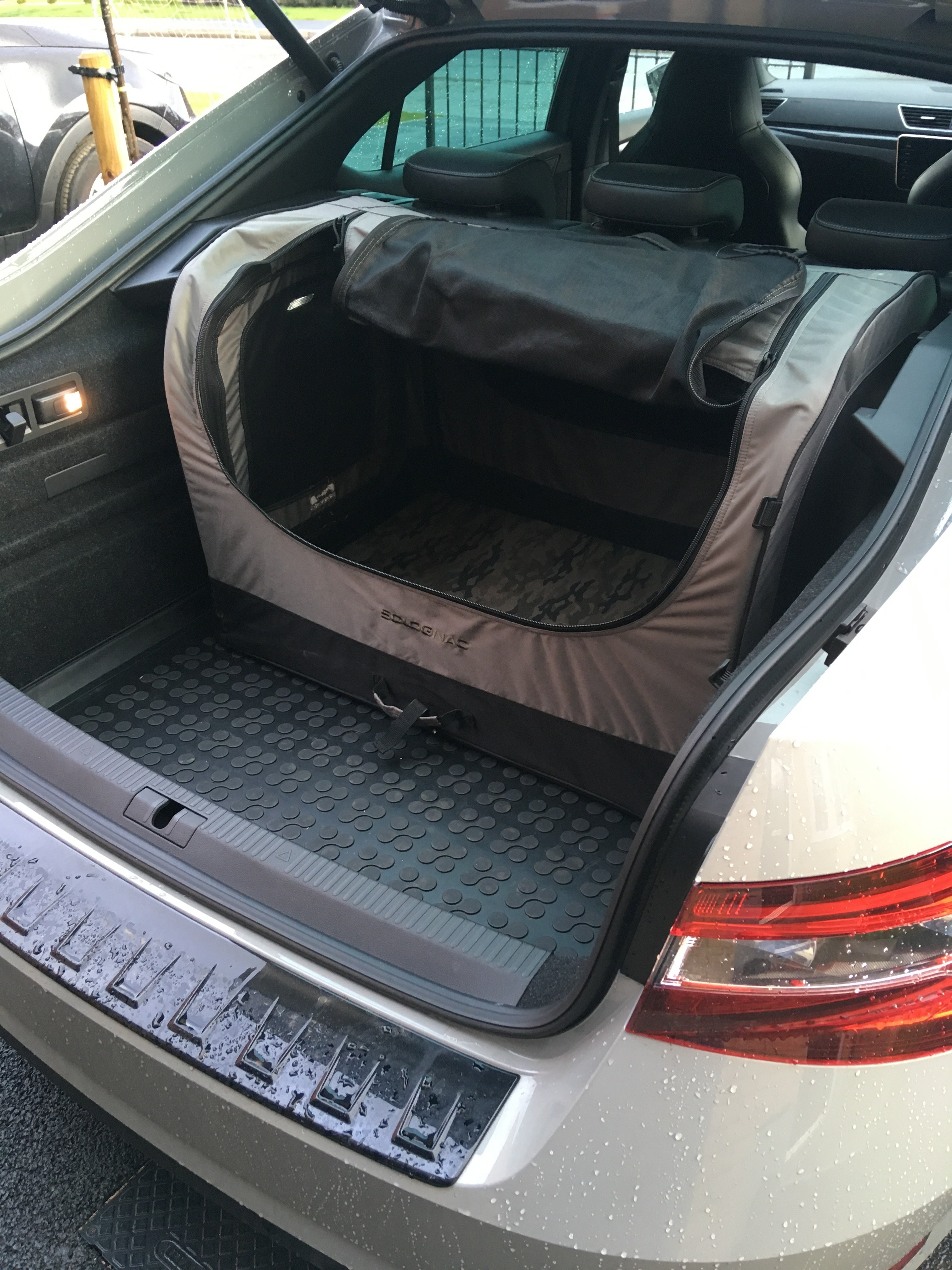 Hatchback and large dog Skoda Superb Mk III (2015 2023) BRISKODA