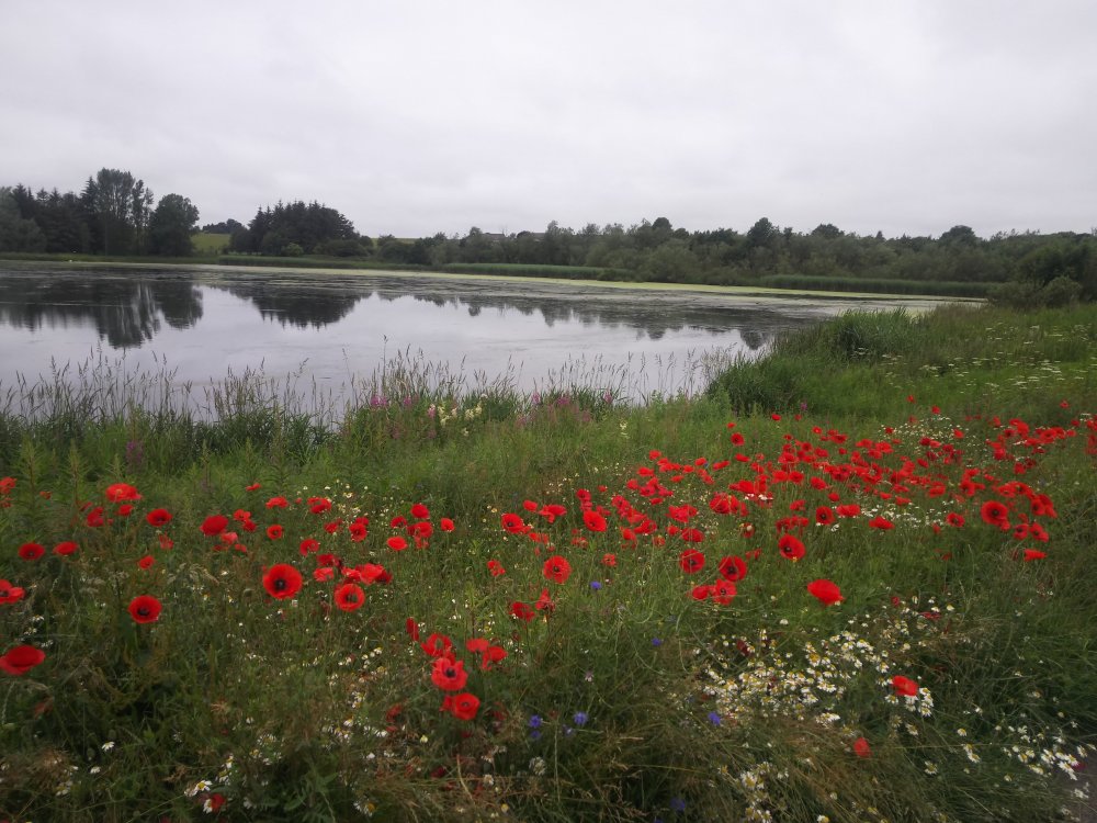 DSCN3929.JPG