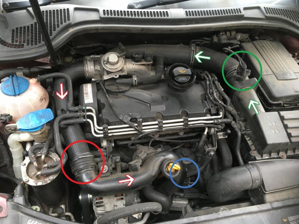 1231729729_SuperbEngineBay.thumb.jpg.ea9b913d2df7aa15eb25281ca7c2f528.jpg
