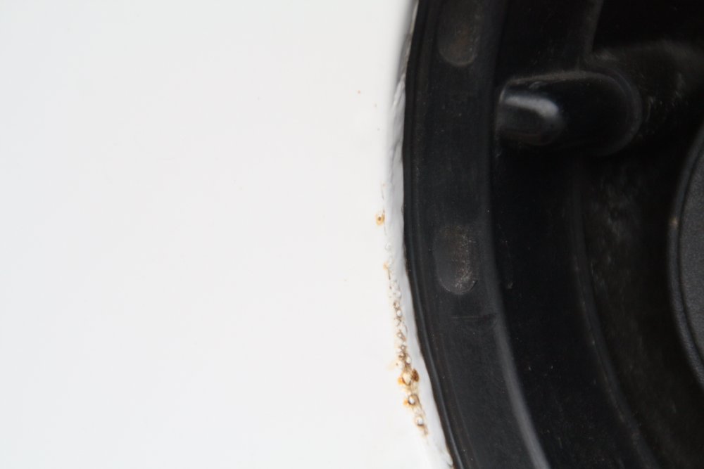 3 close up.JPG