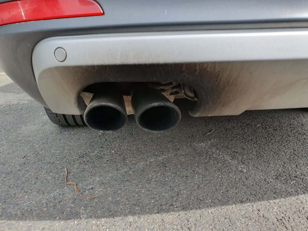 20190504_162626.jpg