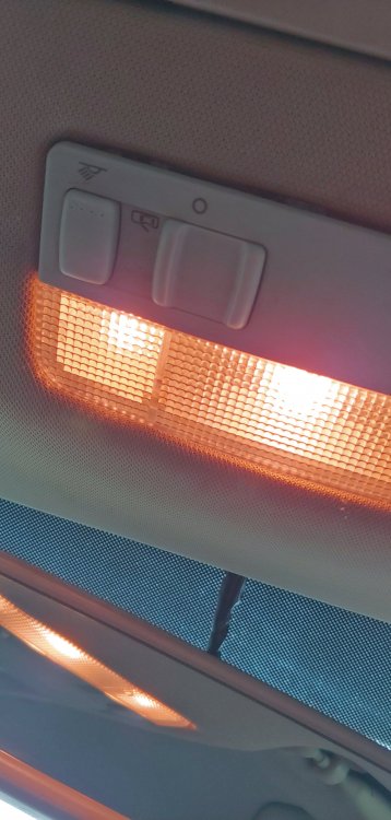 20190807_154931_HDR.jpg