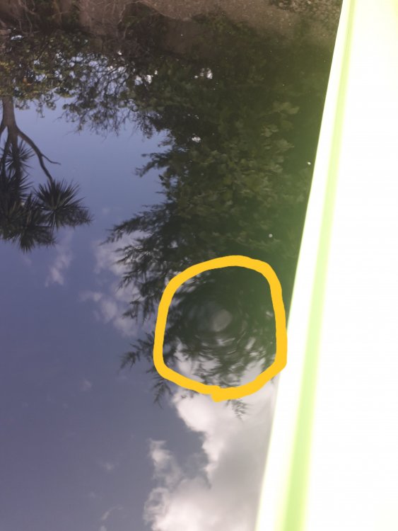 20190820_142437.jpg