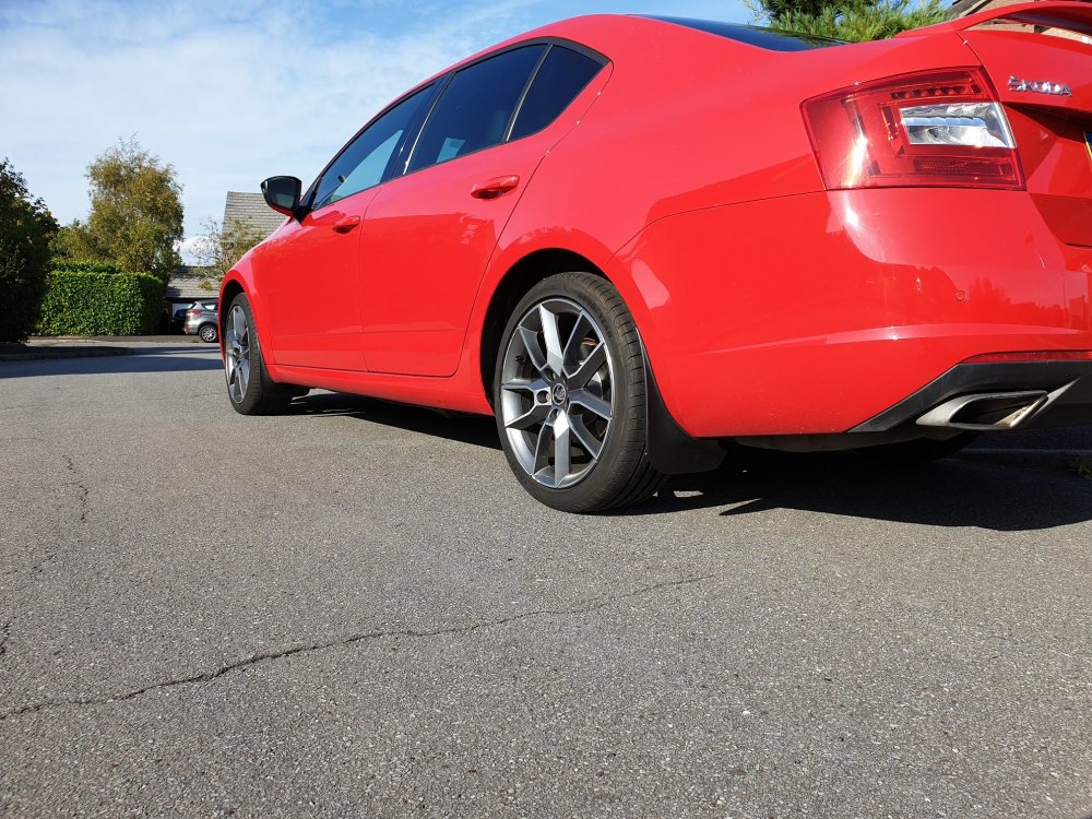mudflaps (1).jpg
