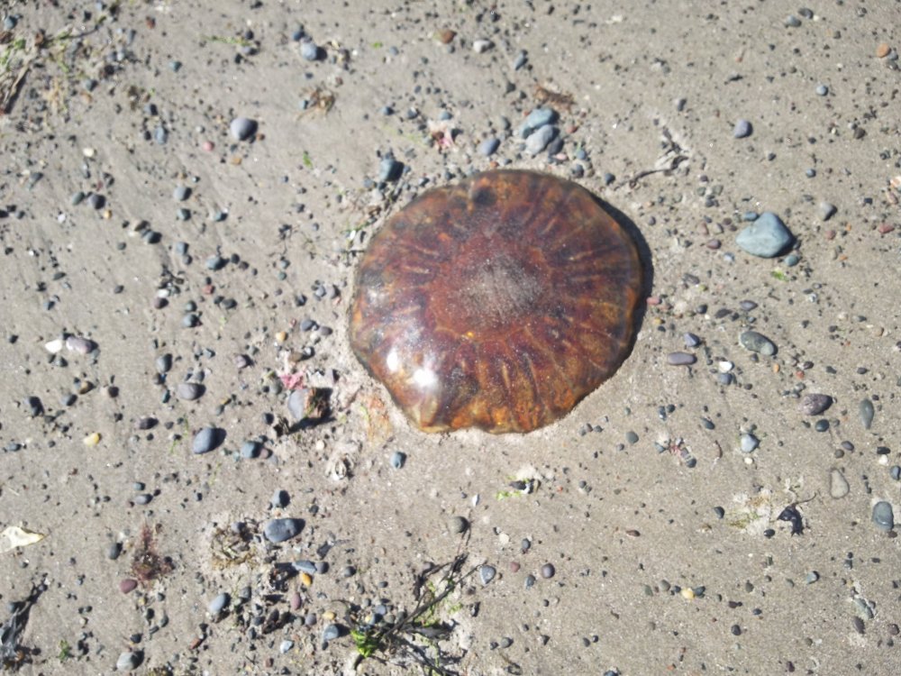 DSCN4008.JPG
