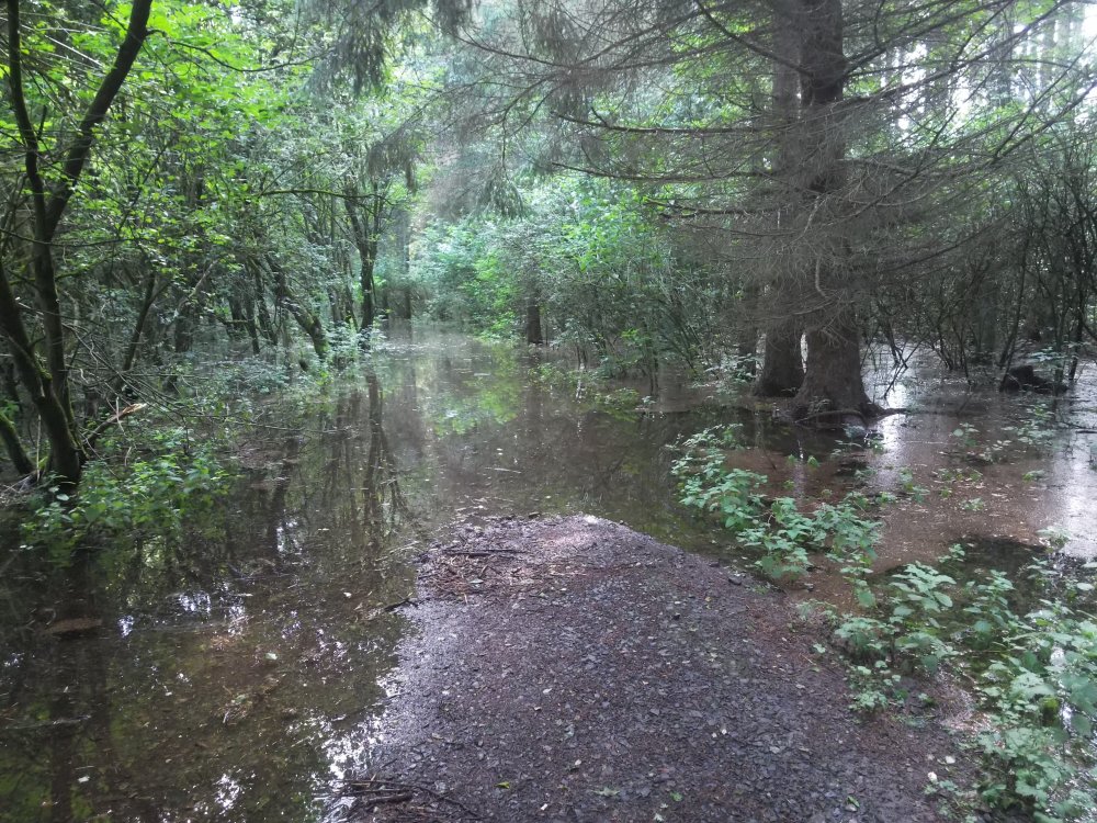 DSCN4030.JPG