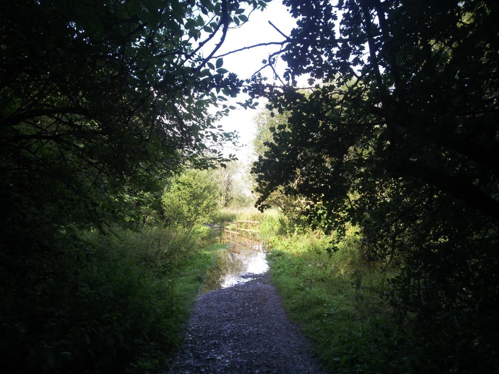 DSCN4031.JPG