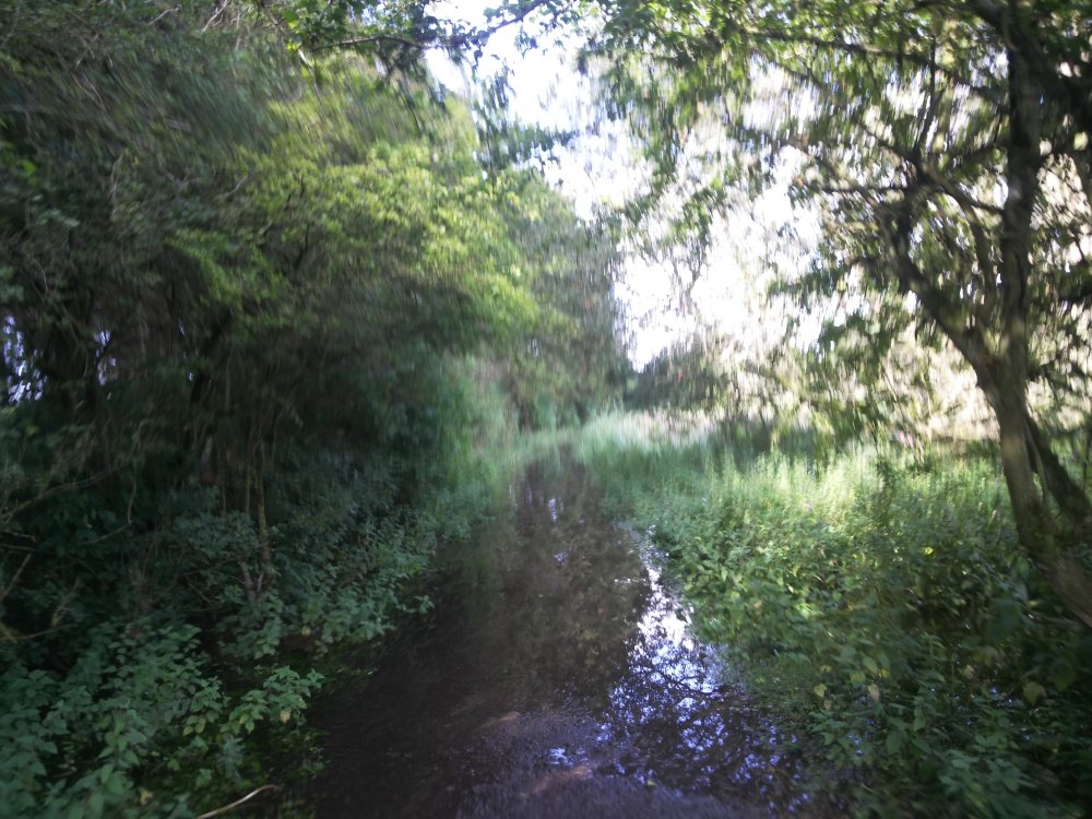 DSCN4033.JPG