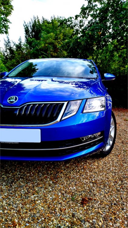 1021373376_Skoda3.jpg